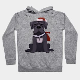 Cute Cane Corso Drawing Hoodie